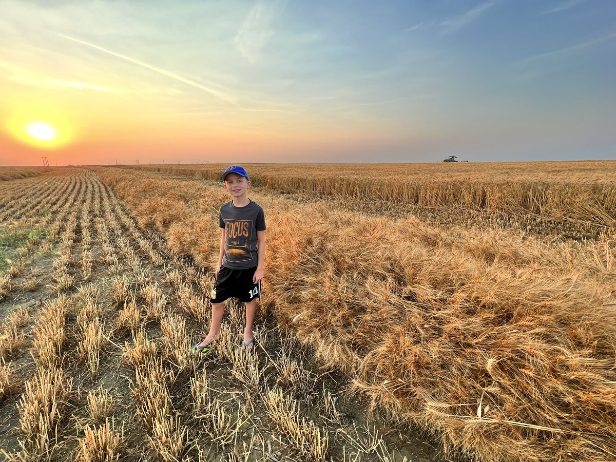 agnathanstamp's tweet photo. Got some extra help tonight, will be a few days and the wildfire WW will be harvested and in the seed plant #Harvest23 https://t.co/AkFPT7zXB8
