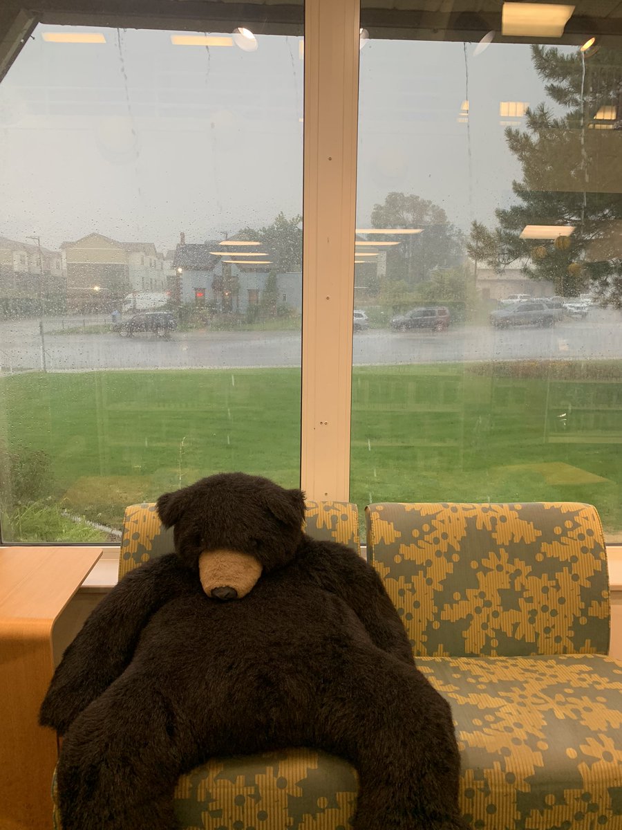 Stormy weather means staying in and reading a good book