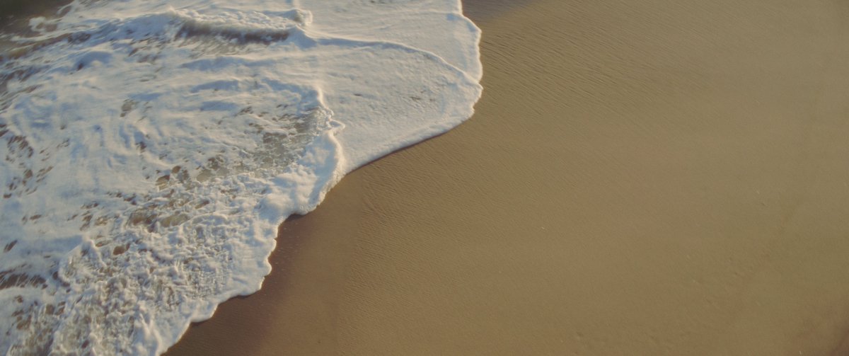 thomaskovacik tweet media