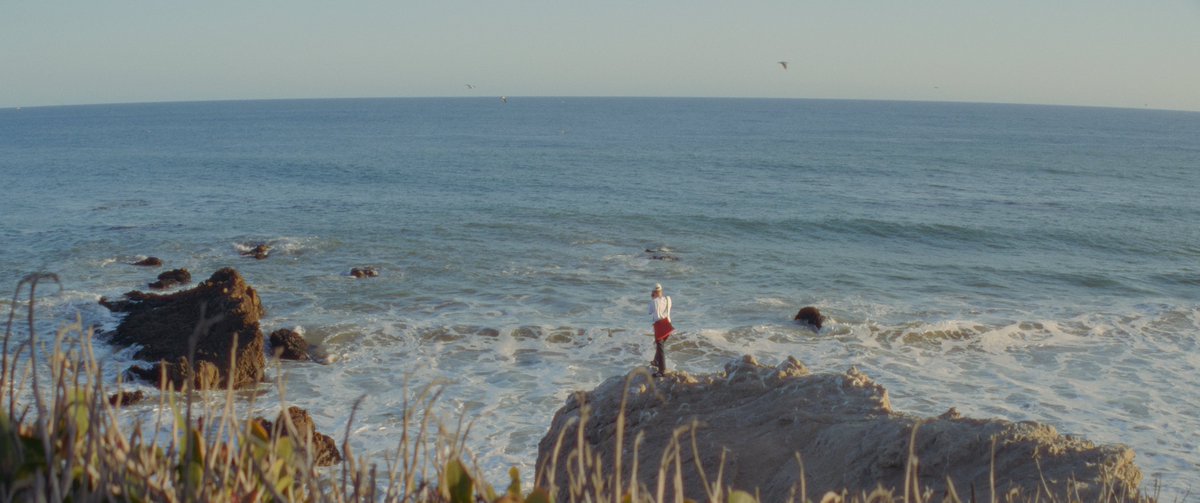 thomaskovacik tweet media