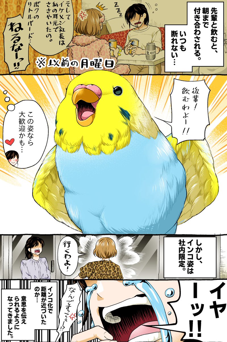 社外でも #インコ ならいいのに。 -- 「いじわる先輩、インコになった!? by初丸うげべそ @ugebes0 」 #ヤメコミ #4コマ漫画 #もふもふ ▼初丸うげべそさんの過去作品 