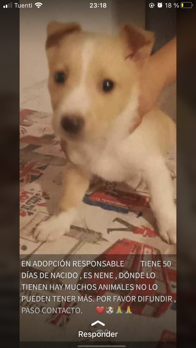 meri_marilu's tweet photo. @VivirenRosario favor de difundir https://t.co/l4HSNKyRhx