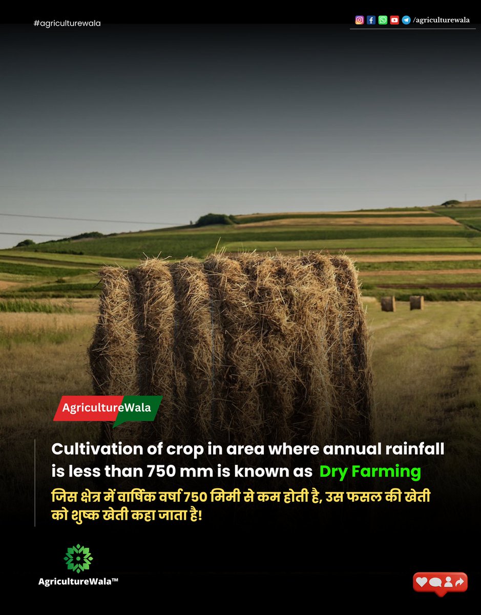 Cultivation of crop in area where annual rainfall is less than 750 mm is known as Dry farming
.
.
#Agriculturewala
#atmanirbharkrishi #agribusiness #agriculturemachinery #AmritMahotsav