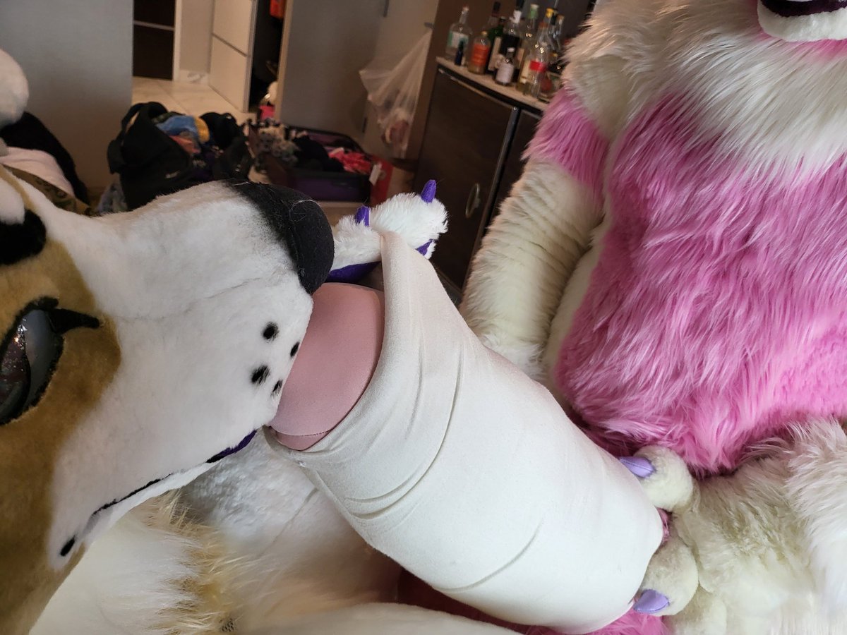 IsshAnAlien's tweet photo. A couple hours early but not gonna forget this week! Happy #FursuitFriday featuring @nargleflex and @ReadyMcPanda https://t.co/PIhGf4dPsB