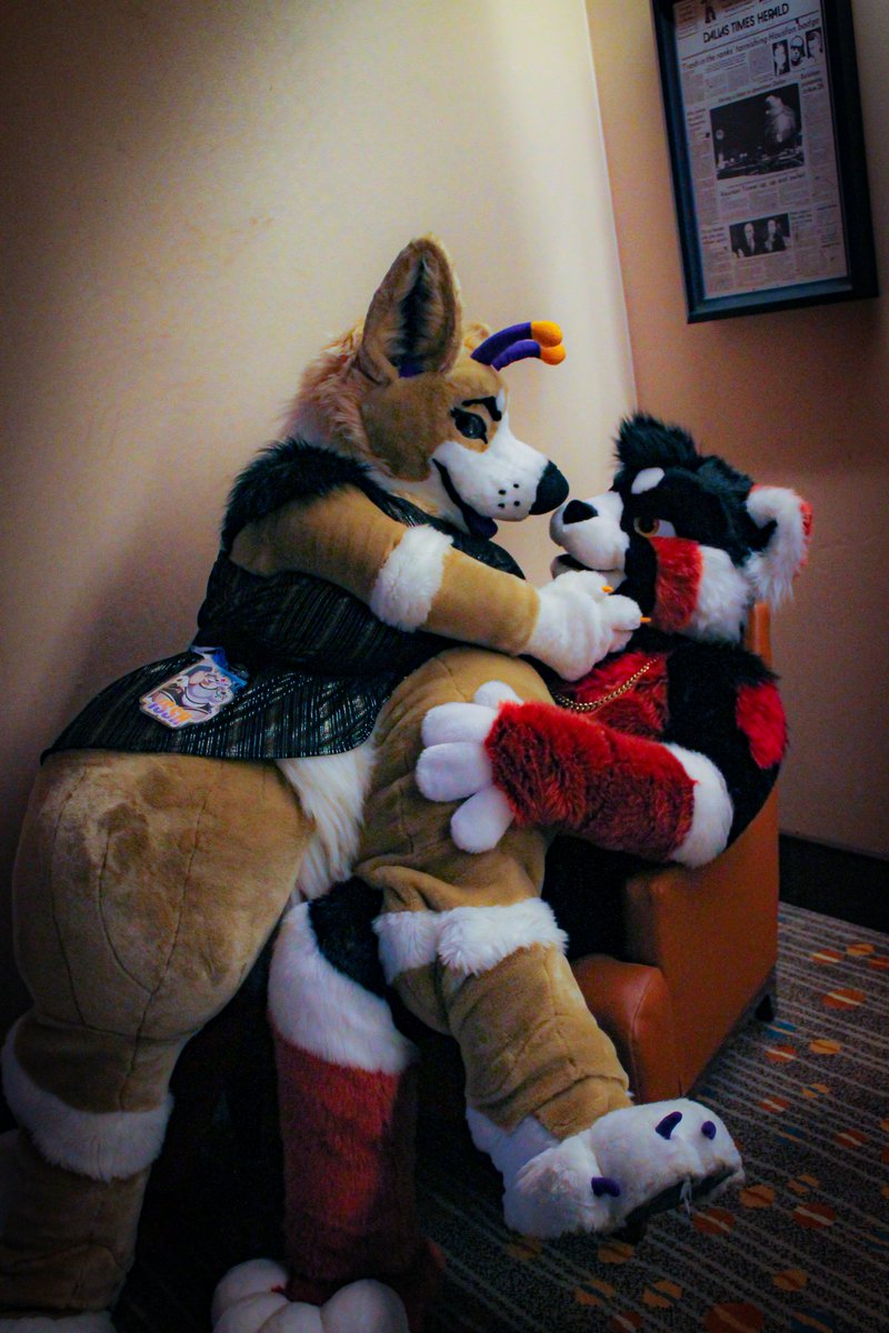 IsshAnAlien's tweet photo. A couple hours early but not gonna forget this week! Happy #FursuitFriday featuring @nargleflex and @ReadyMcPanda https://t.co/PIhGf4dPsB