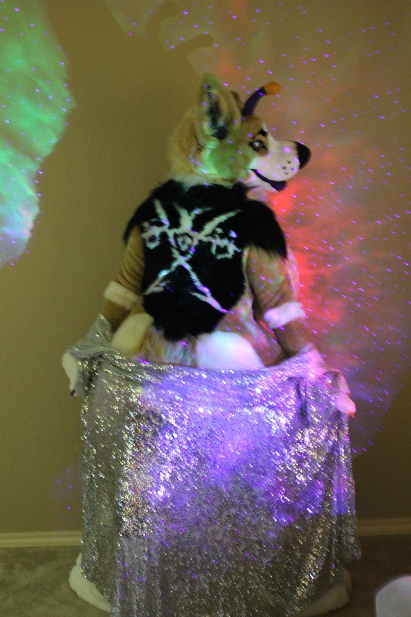 IsshAnAlien's tweet photo. A couple hours early but not gonna forget this week! Happy #FursuitFriday featuring @nargleflex and @ReadyMcPanda https://t.co/PIhGf4dPsB