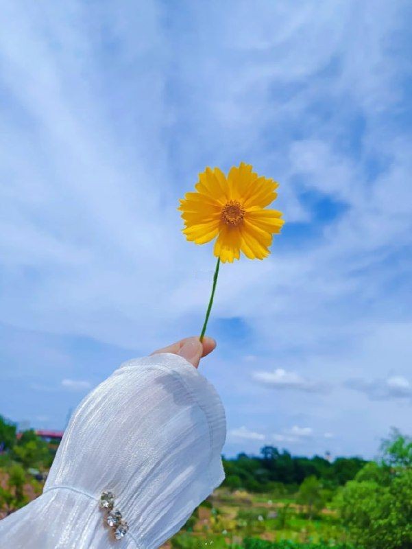 Eileen8Fadi's tweet photo. Go to nature, go to the green fields, and enjoy its unique style. https://t.co/5ycwAua4Sy