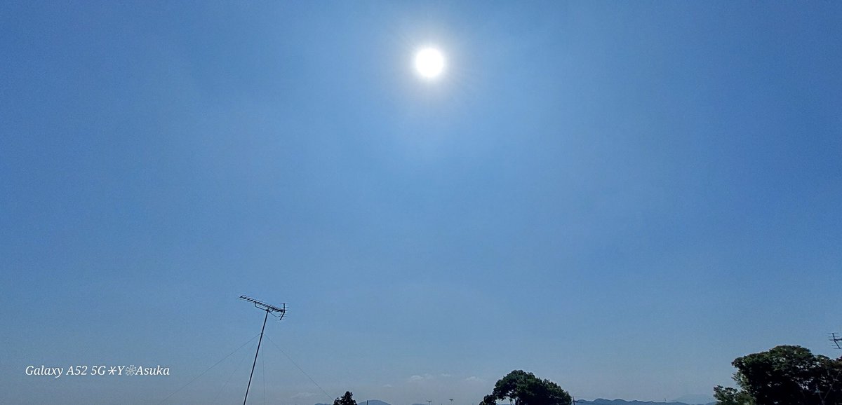 yumeasutw's tweet photo. #青空 にお日様ギラギラ蒸し暑い金曜日の朝☀️✨
#百日草 にしがみつく小さな #バッタ さん🏵️🦗

予想最高/最低気温🌡️36℃/24℃
晴れのち曇り一時雨☀️/☁️|⛈️
お洗濯日和👕👖午後は雲が多くなり俄か雨にご用心⛈️

#ダリアザキジニア #庭花 #花 #Flower
#オンブバッタ
#空の名前
#a2023 #a0804 #a202308 https://t.co/KaSV9lMd4V