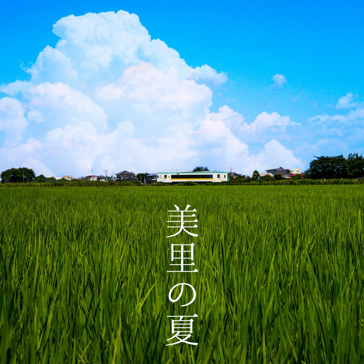 _sukiru's tweet photo. 暑中御見舞���申し上げます。

https://t.co/qJFI4xBtrL

#見サト
#よしきたみやぎ
#美里町 
#田園鉄道
#日本の夏 https://t.co/QSgO3zSWM3