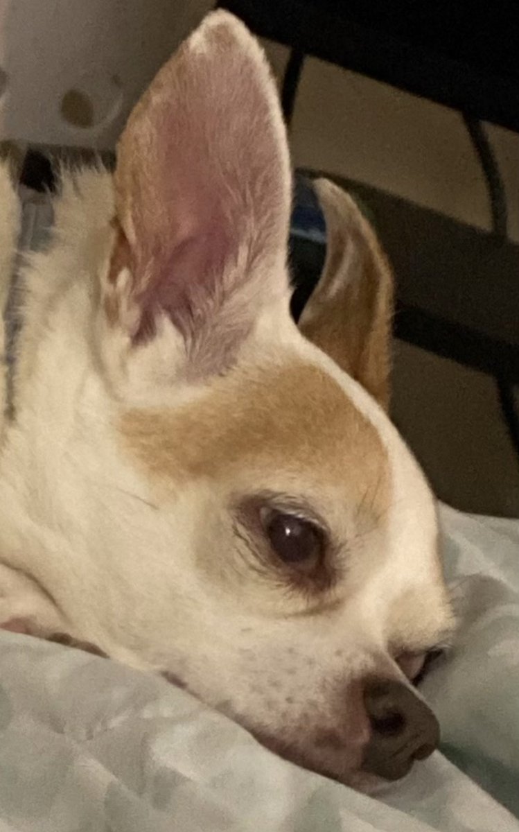 x0xOally's tweet photo. am I finishing this degree, or is this degree finishing me? #PhDchronicles https://t.co/uL3AT9bdes
