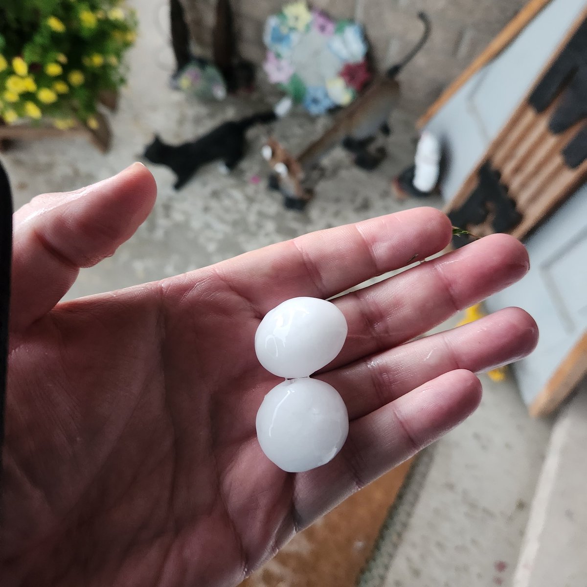Chris_Rourke19's tweet photo. @CHEXNewswatch hail in Lindsay around 5pm https://t.co/DIAwRRKTUj