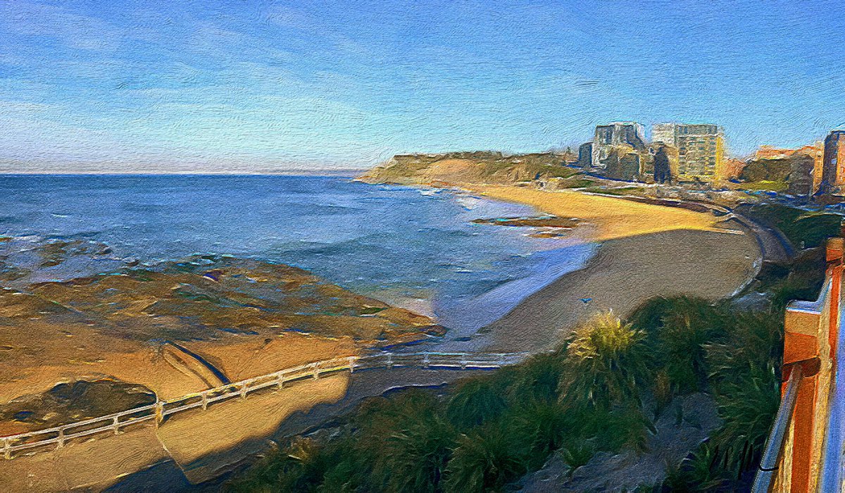 ShutterJournal's tweet image. Morning walk #newcastle #visitnsw