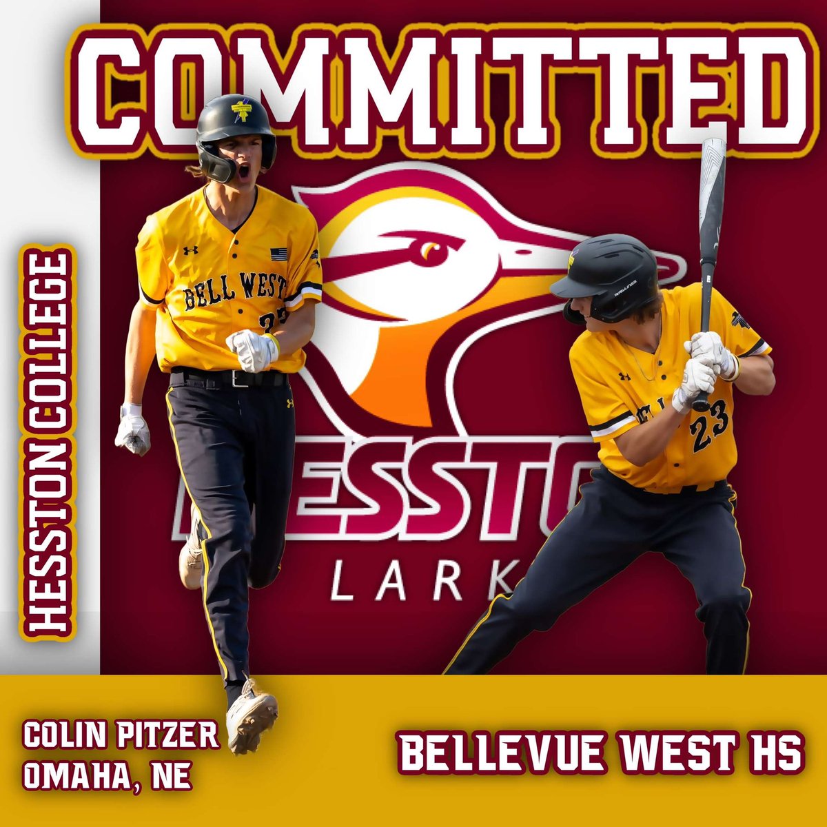 Colin Pitzer tweet media