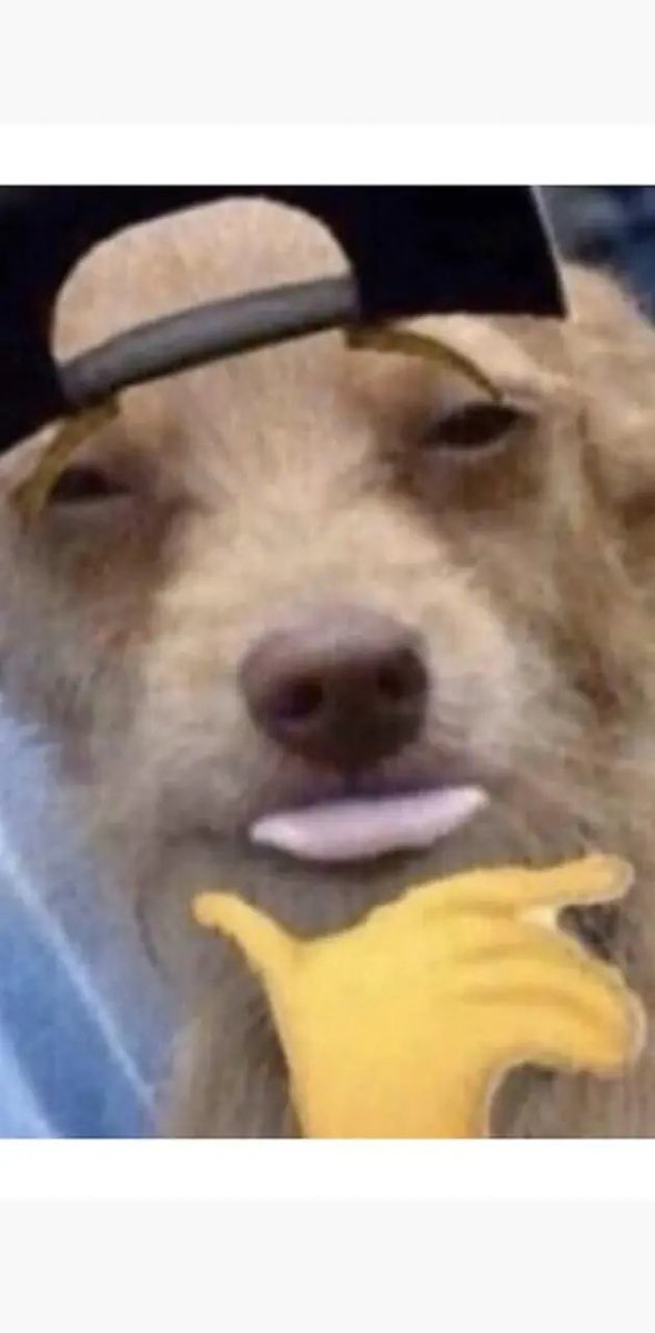 <a href="/ayeejuju/">juju 💰</a> Girls call me ugly untill they see my bank account. Then they call me ugly and broke😭