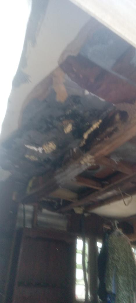 Rayne46068's tweet photo. @pulte After cancer diagnosis all remodeling came to a full stop  really leaks bad when it rains and there's a snake in here somewhere https://t.co/NJ5xgD3Uza