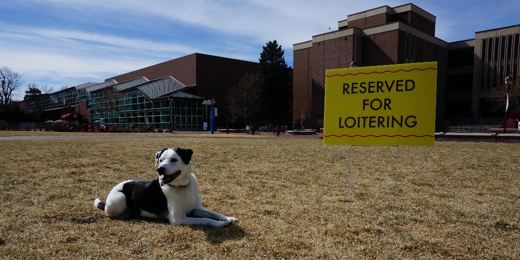 Just a fun sign at University of Denver!

#DU #UniversityOfDenver #DogsofTwitter #BorderCollies