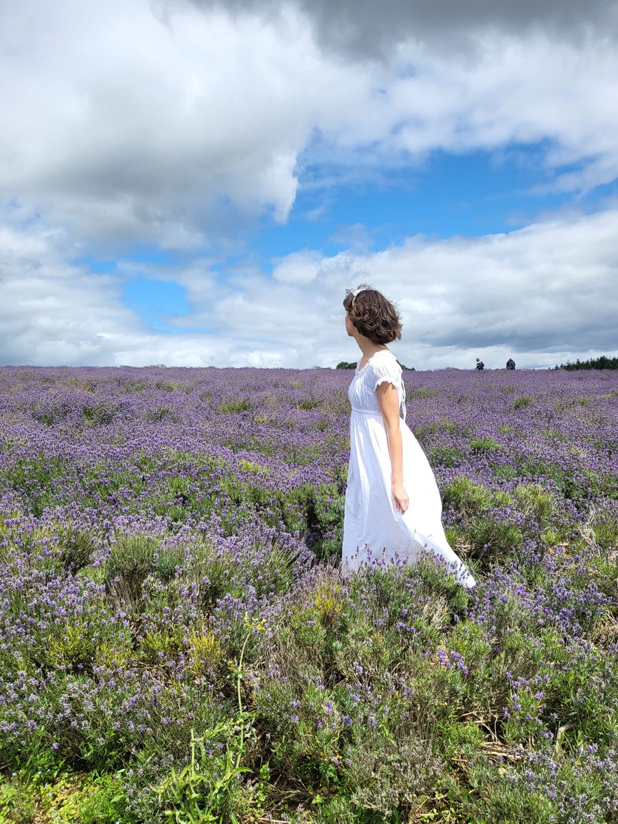 #lavenderfields #thecotswolds