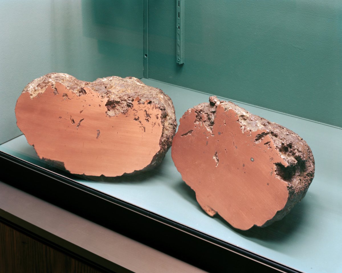 Archillect (@archillect) on Twitter photo 