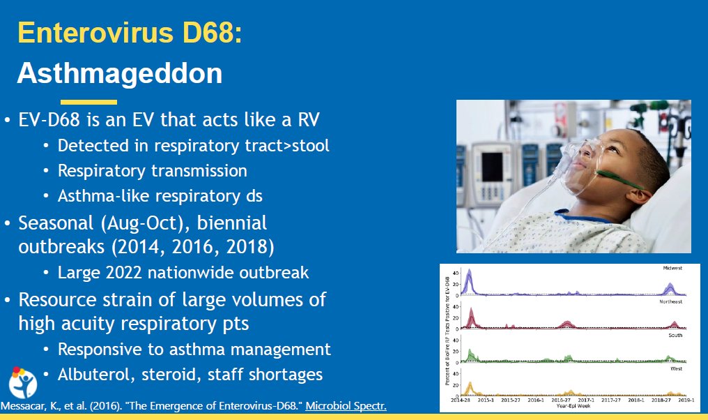 Enterovirus D68 made @kmess44 famous. 
🫁2014: 'asthmageddon' after EVD68 acted like a rhinovirus triggering huge surges of wheezing disease
🧠but that wasn't all...
#VailPedsID2023