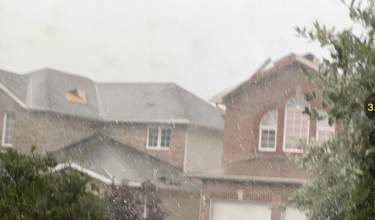 Tracey Tinley tweet media