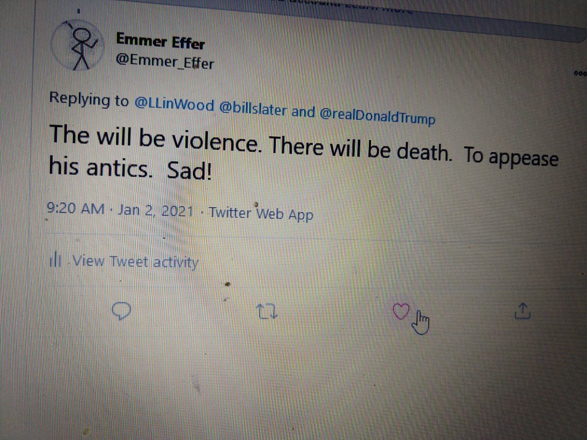 Emmer_Effer's tweet image. A tweet of mine a few days before January 6th. Anybody could have seen that coming. Hope @realDonaldTrump pays for his crimes. #IncitingARiot at very least.  Where were you @chadfwolf #ChadFWold? You certainly weren't doing your job "safeguarding" as head of @DHSgov at the time.