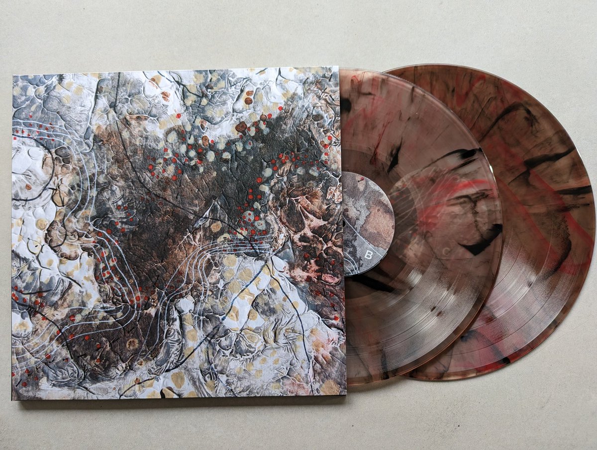 tangledtol's tweet photo. Our new record, Oscillating Forest, is out today. Go listen! @dunkrecords_be @birdsrobe 
#postrock #postmetal 
https://t.co/O6IqcxPjK6 https://t.co/GYzEvCcYqi