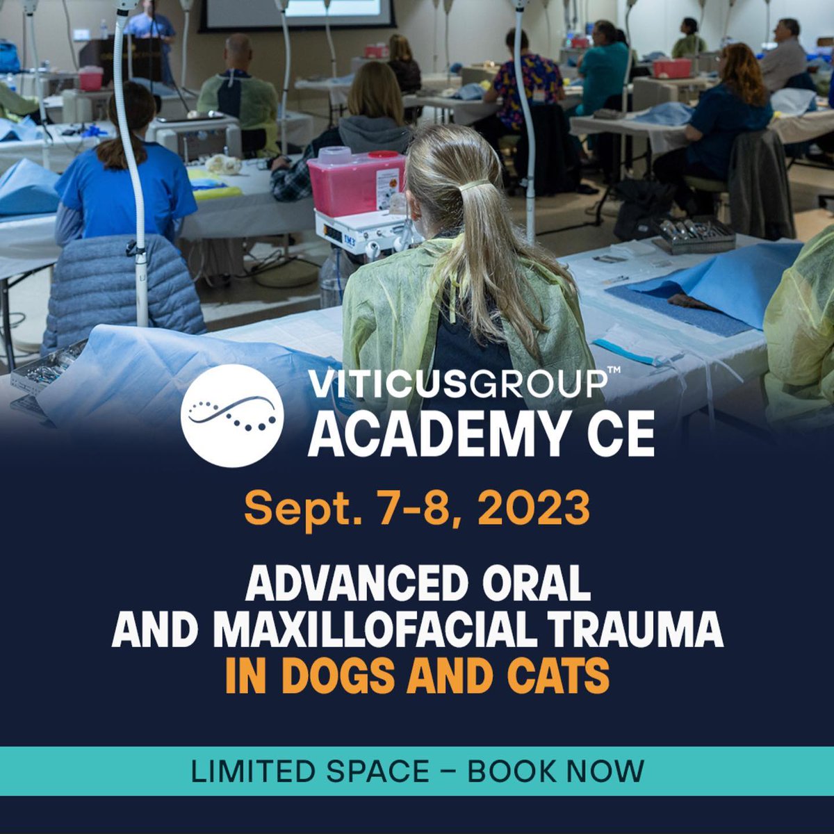 ViticusGroup_AH's tweet photo. Septemberโs ORAL ce course! Book your spot on our website before the spots are full ๐ฆท๐ชฅ
-
#VetLife #VeterinaryCare #AnimalHealth #VetResources
#VetEducation #VeterinaryTraining #CECredits
#HandsOnTraining #VetEquipment #VeterinaryTools
#VetClinic #VetCommunity #VeterinarianLife https://t.co/mFiiiFjff7