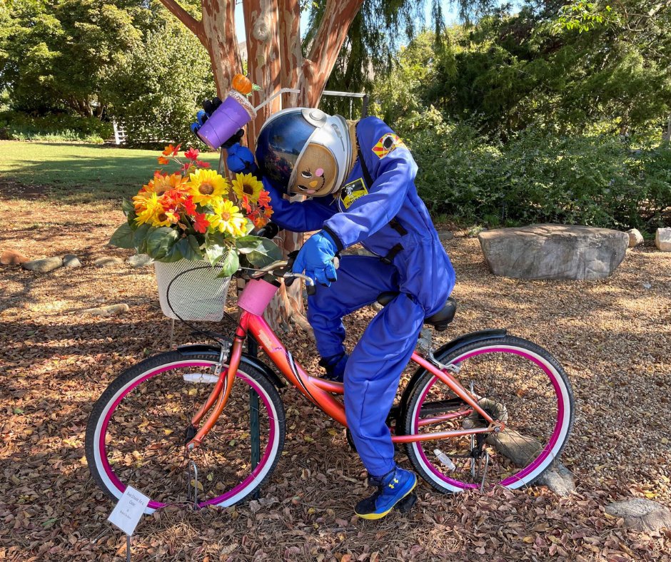 🎃 Calling all Crows!🎃 
Families, community groups, businesses, schools, and individuals are all invited to build a scarecrow for the Scarecrow Trail.
Registration closes August 24.
Register here hsvbg.org/festifall/
#hsvgarden #garden #scarecrow #scarecrowtrail