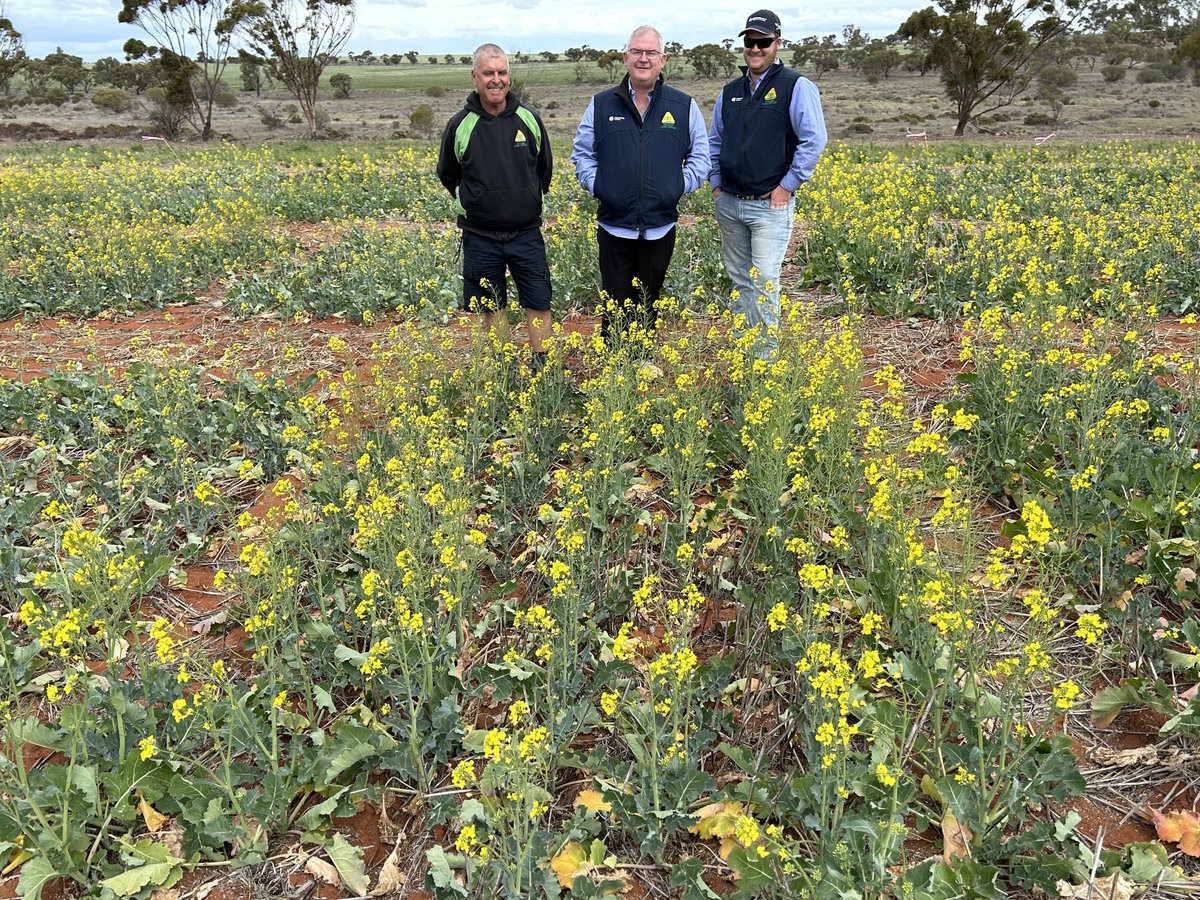 Steve Lamb tweet media