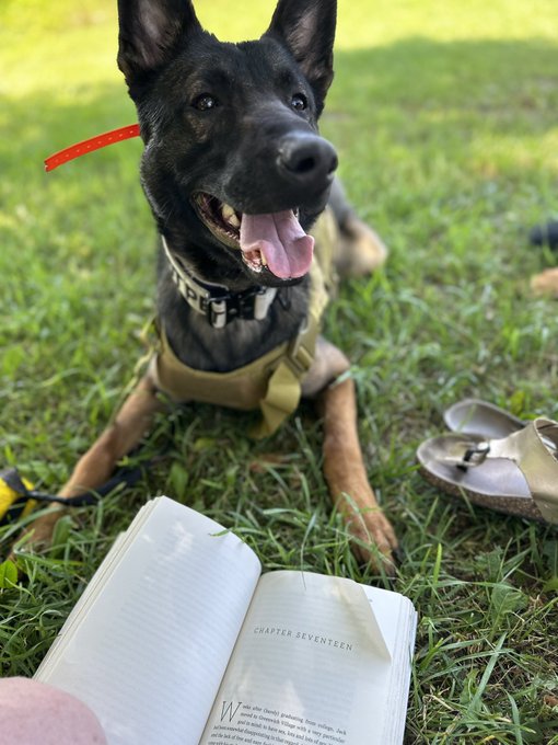 I didn&rsquo;t take enough photos of myself for any sneak peaks of me&hellip; But here&rsquo;s a photo of my dog 🐶 https://t