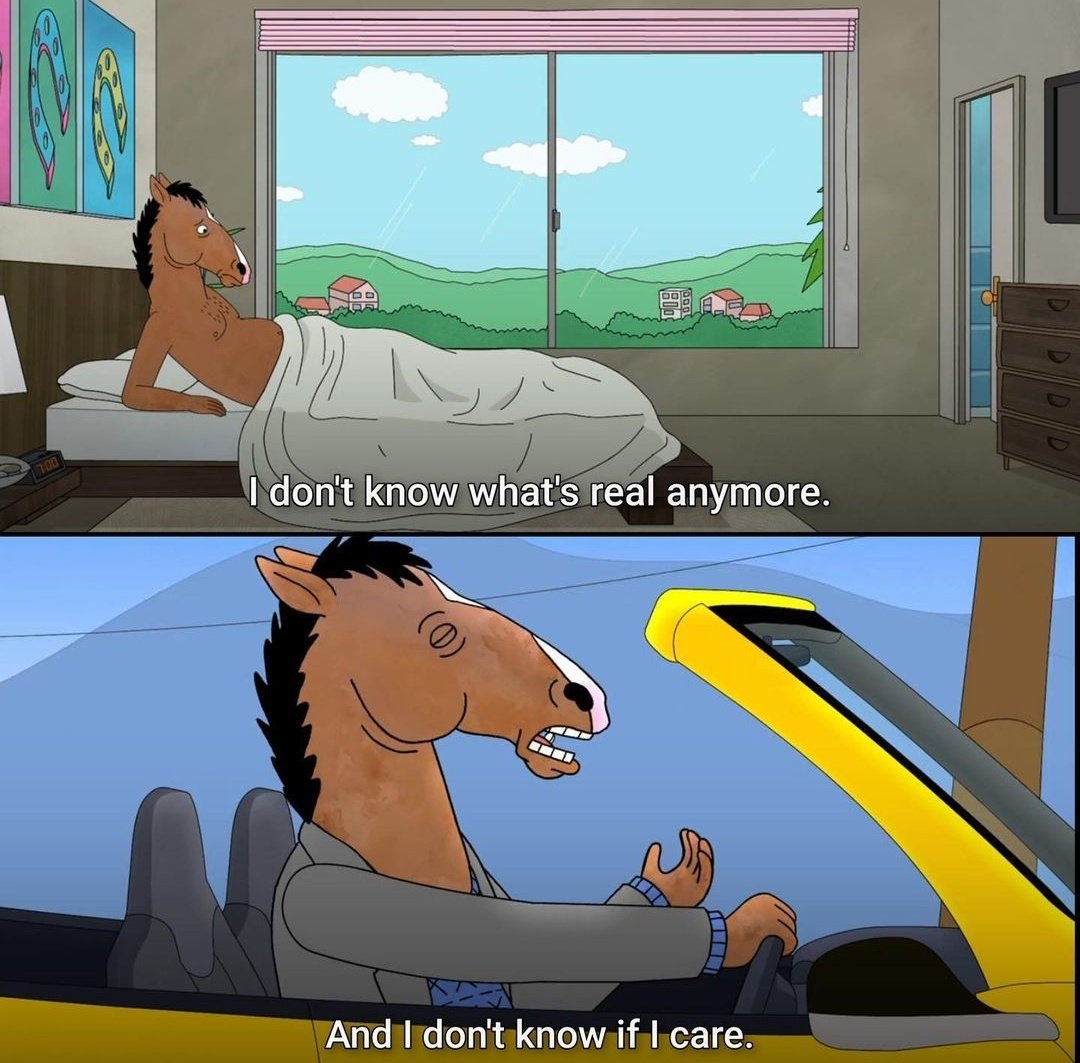 bojackbott's tweet photo. https://t.co/WDIuZ7efye