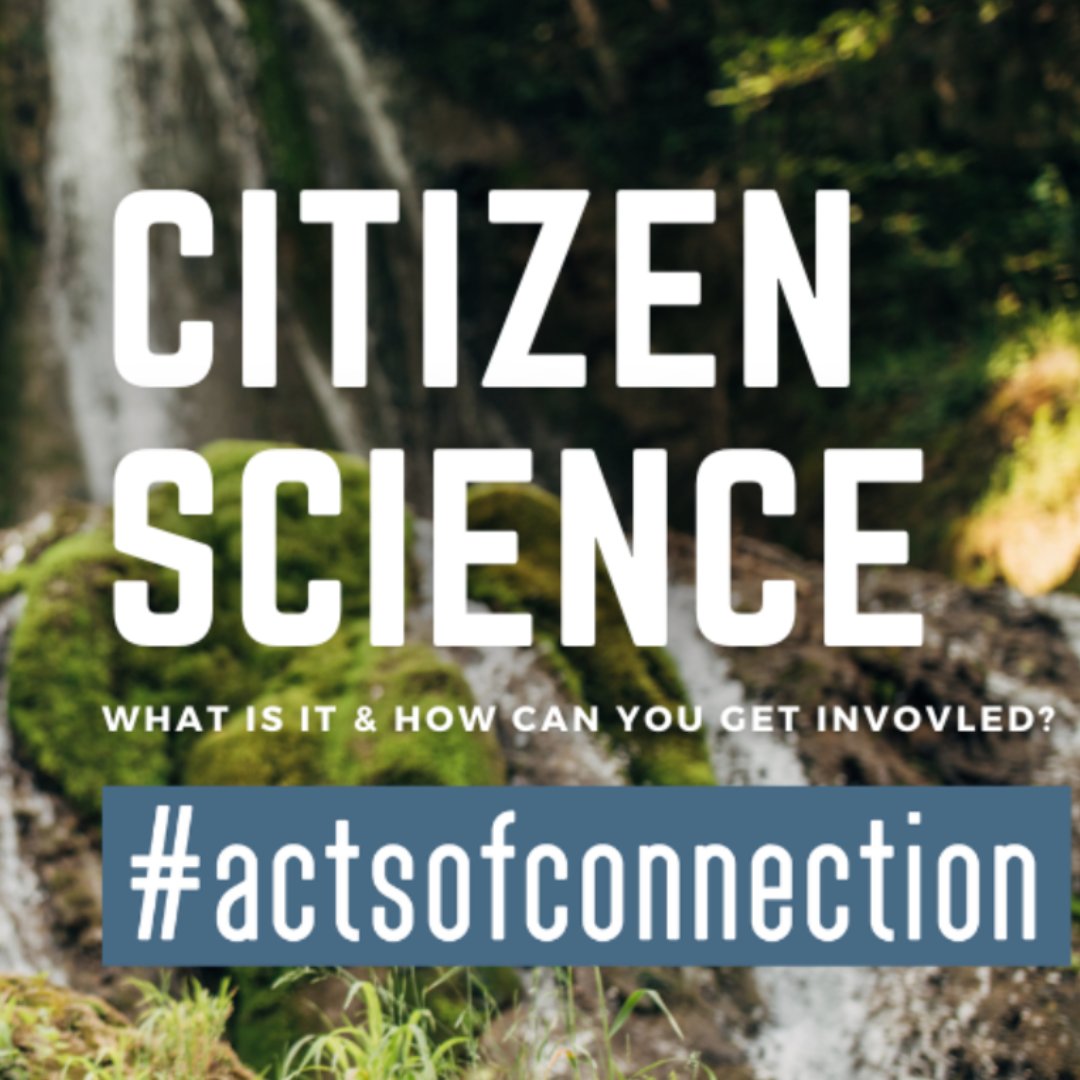 atlaslivingaust's tweet photo. ⚡ ALA's Training &amp; Outreach Officer Juliet recently had the opportunity to present at the @ACTS webinar on #CitizenScience.

🌱 The event was part of the #actsofconnection series, empowering members in the higher-ed sector to participate in socially-responsible initiatives. https://t.co/QGiyE4YVZN