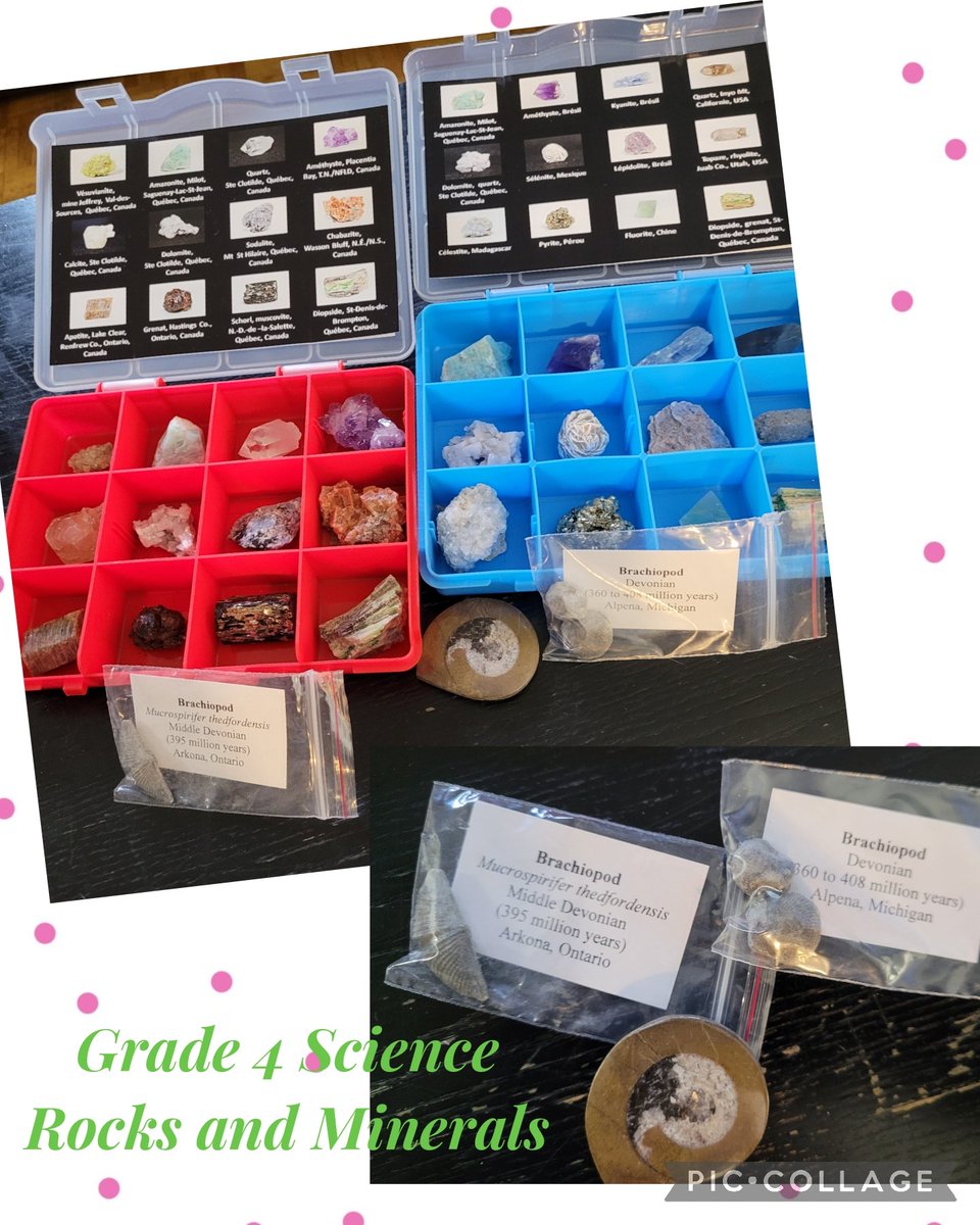 Erin Duncan (She/Her) tweet media