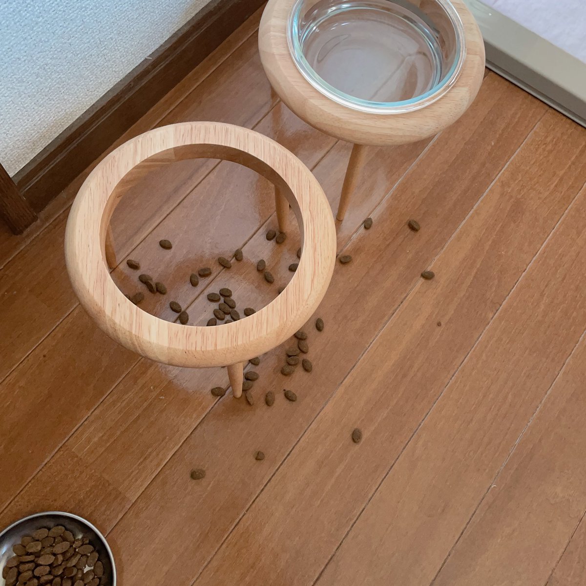 p_190224's tweet photo. 透明のお皿置いたと勘違いして、虚無の空間にご飯入れてた…疲れてる…犬は隣で「大丈夫？」みたいな顔してた https://t.co/KOfG8QXIDW