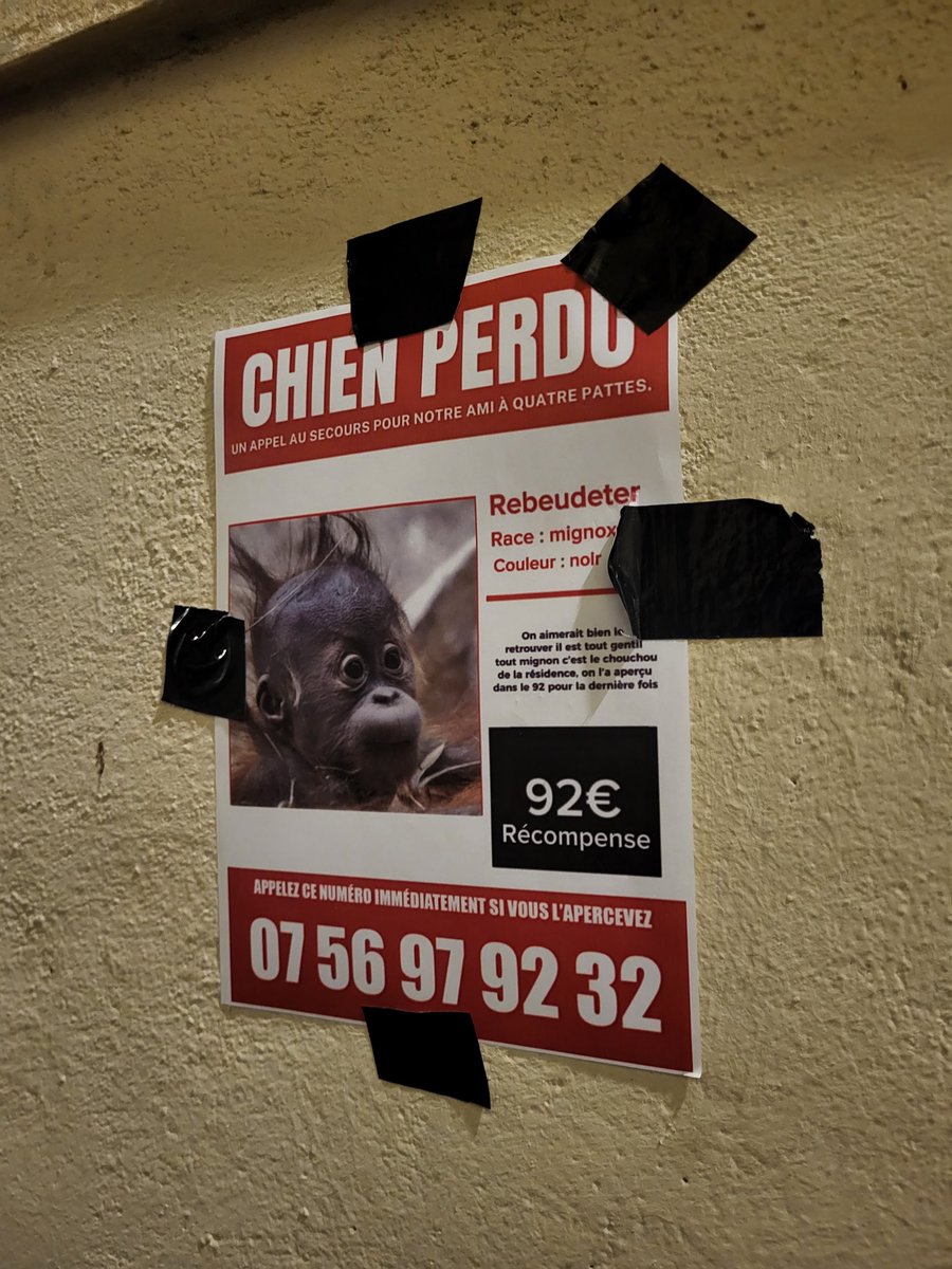 Alessandro tweet media