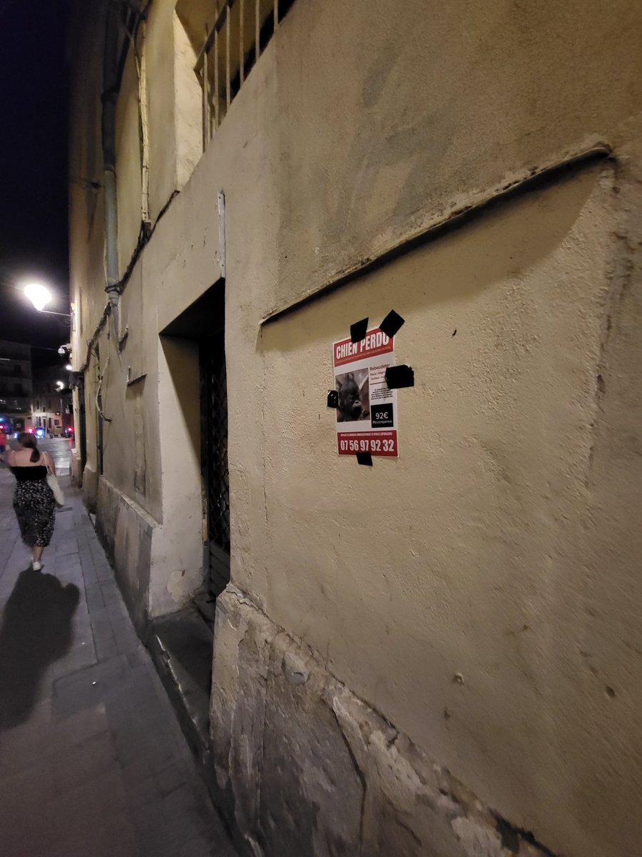 Alessandro tweet media