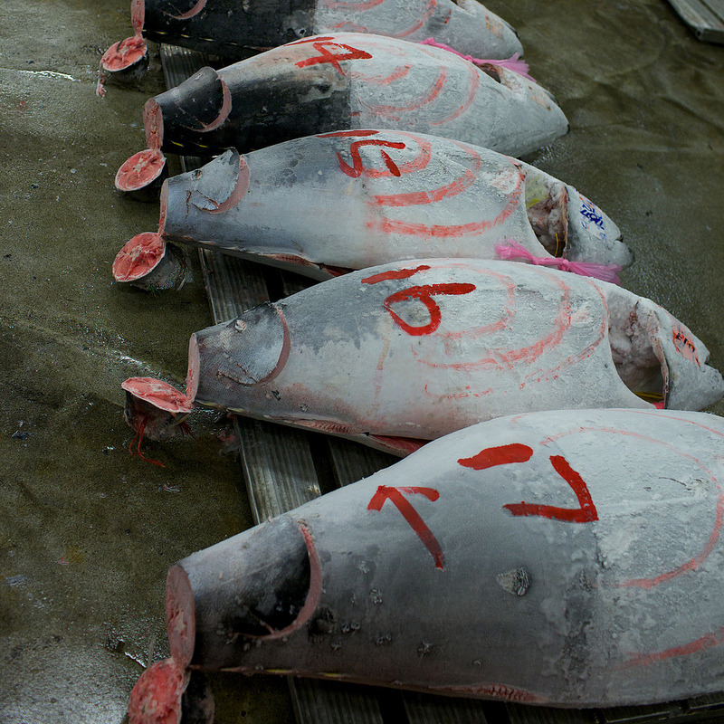 Archillect (@archillect) on Twitter photo 