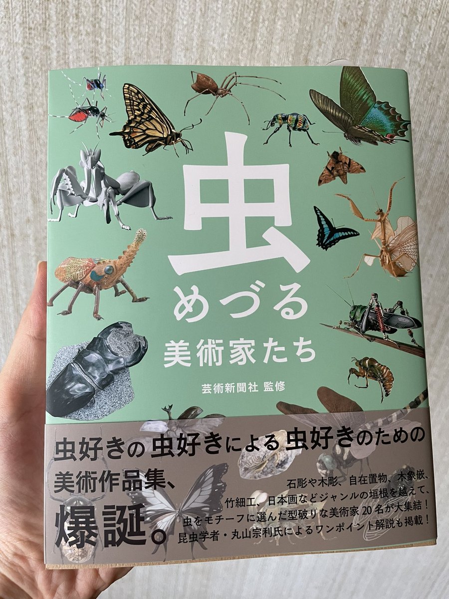 G88072848's tweet photo. INSECTS展にお邪魔しました。「虫めずる美術家たち」刊行記念も兼ねた展示会。正に虫めずる作家さんの豪華な展示会でした。在廊されていた佐藤正和重孝さんに創作にまつわるリアルなお話を伺い、また環境変��から、行き詰まりを感じていた自分に穏やかで温かな言葉をかけていただき、感激でした！ https://t.co/50TX55hDb9