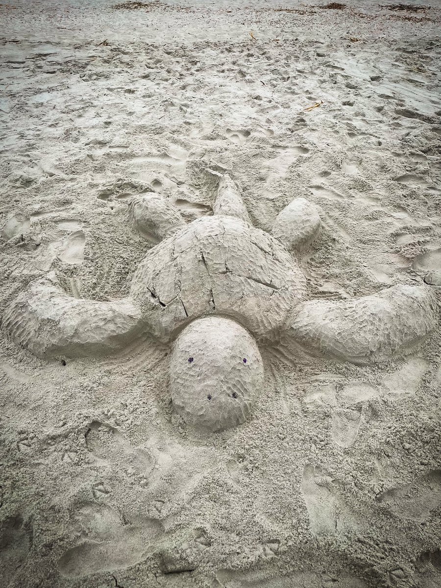 Kristi McLennan tweet media