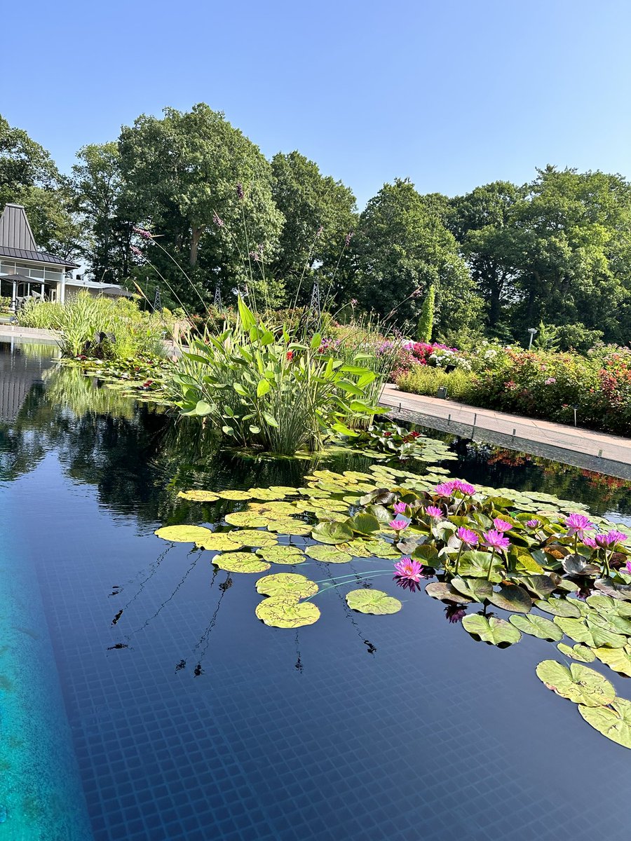 ShawChris33's tweet photo. Some of the stunning gardens @RBGCanada wonderful morning spent wandering this peaceful space. https://t.co/NmHCoaFNwP