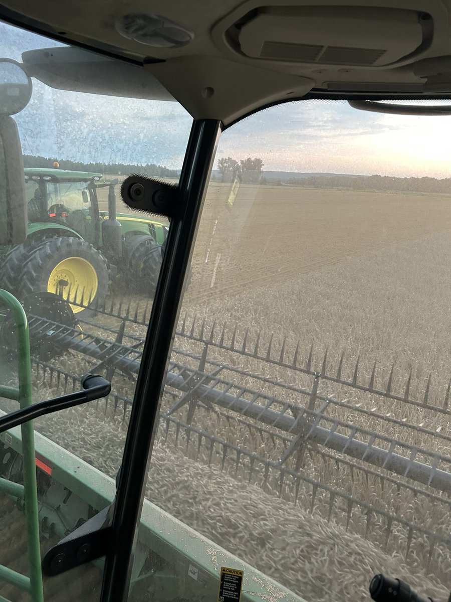 Might be short lived but we are combining dry wheat again