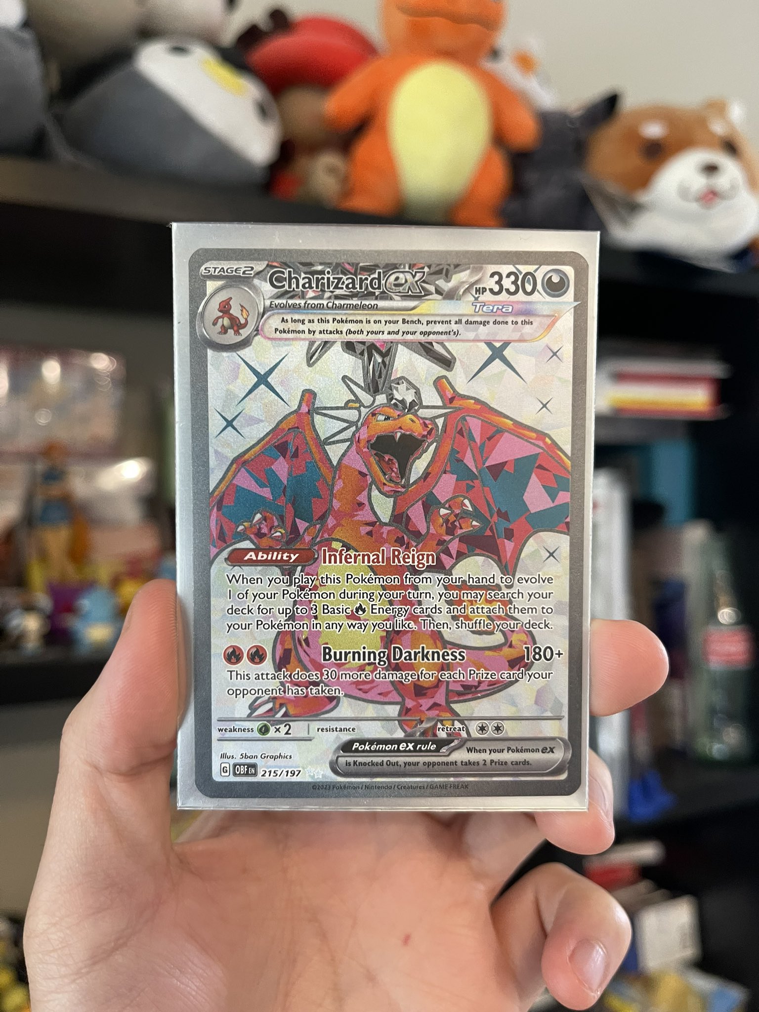 Charizard ex (215/197), Busca de Cards