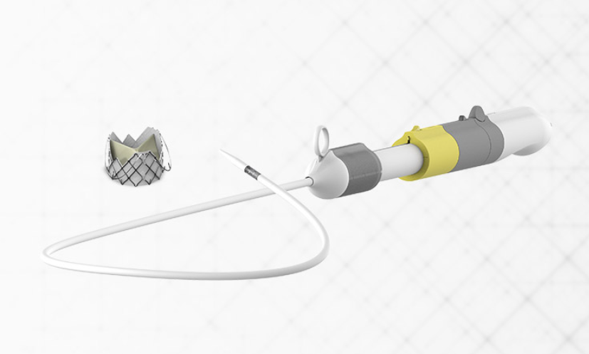 We are pleased to announce that the J-Valve™️ Transfemoral (TF) System has been granted Breakthrough Device Designation by the FDA. 

Read more: prnewswire.com/news-releases/…

#JValve #TAVR #AorticRegurgitation #BreakthroughDeviceDesignation