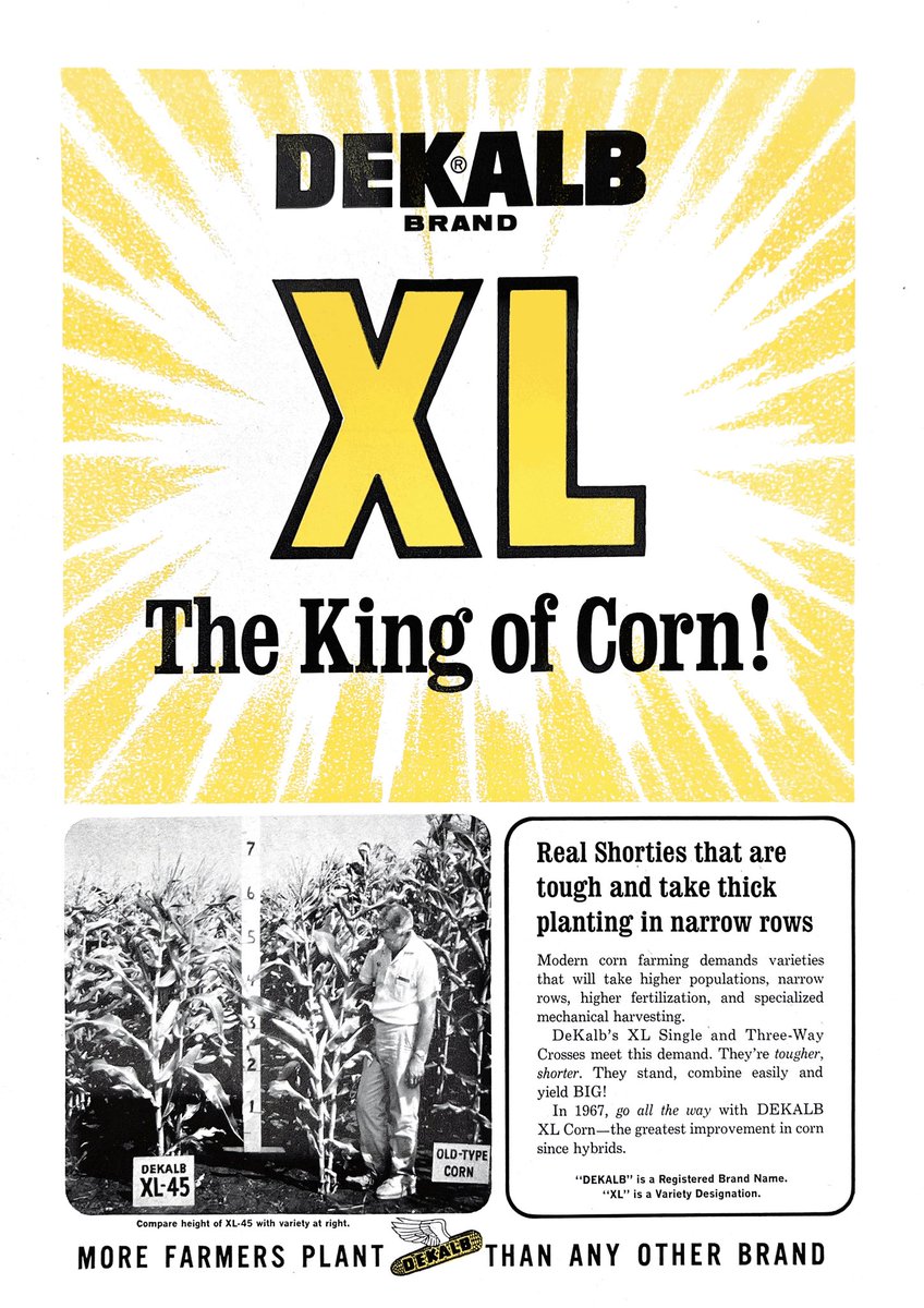 shawn_mcdonald's tweet image. The future is bright for #Preceon standing on the shoulders of the original short corn @Asgrow_DEKALB XL-45! #vintage