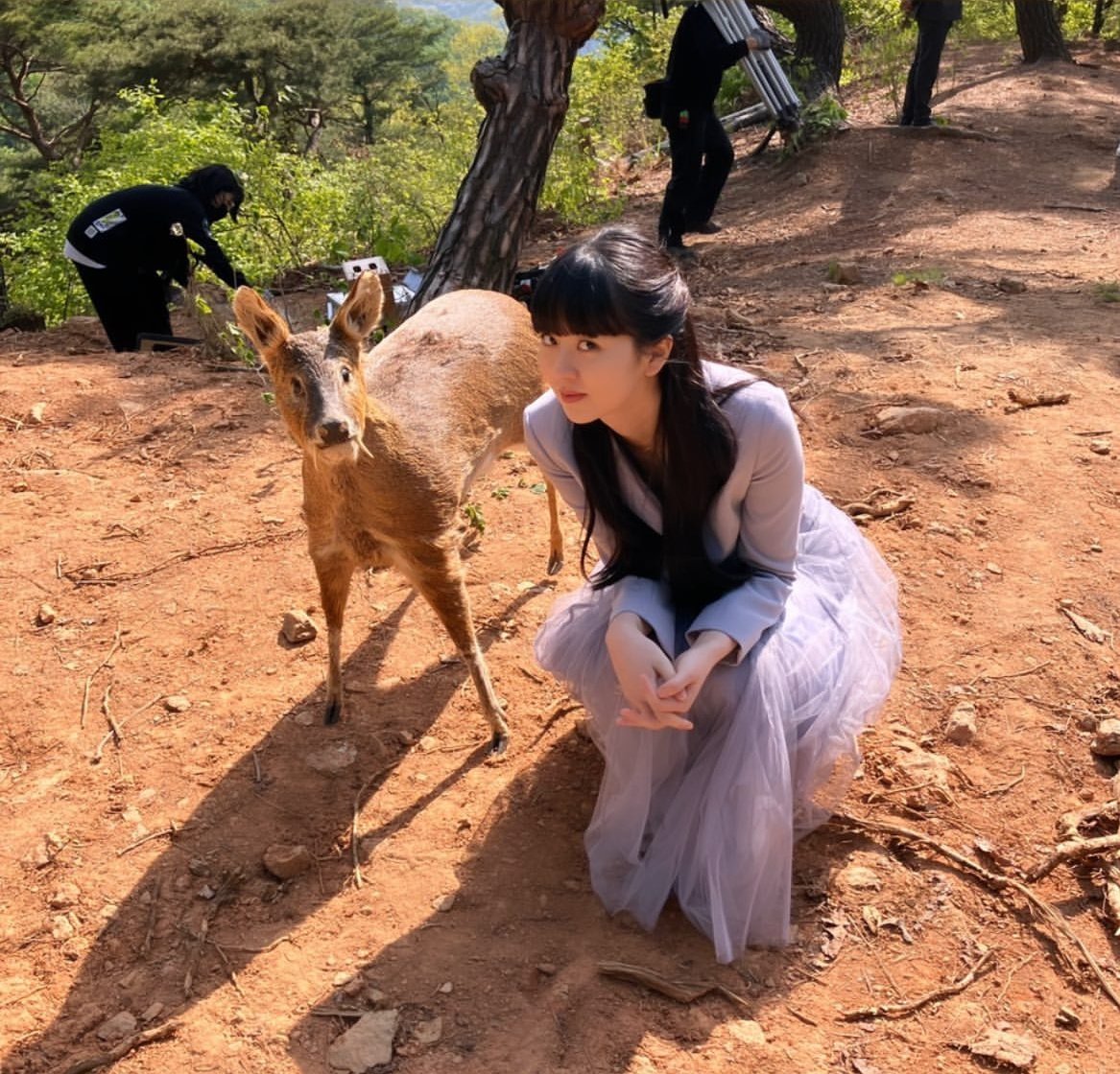 kntmngn's tweet photo. 2D 3D https://t.co/AC59OfEibY