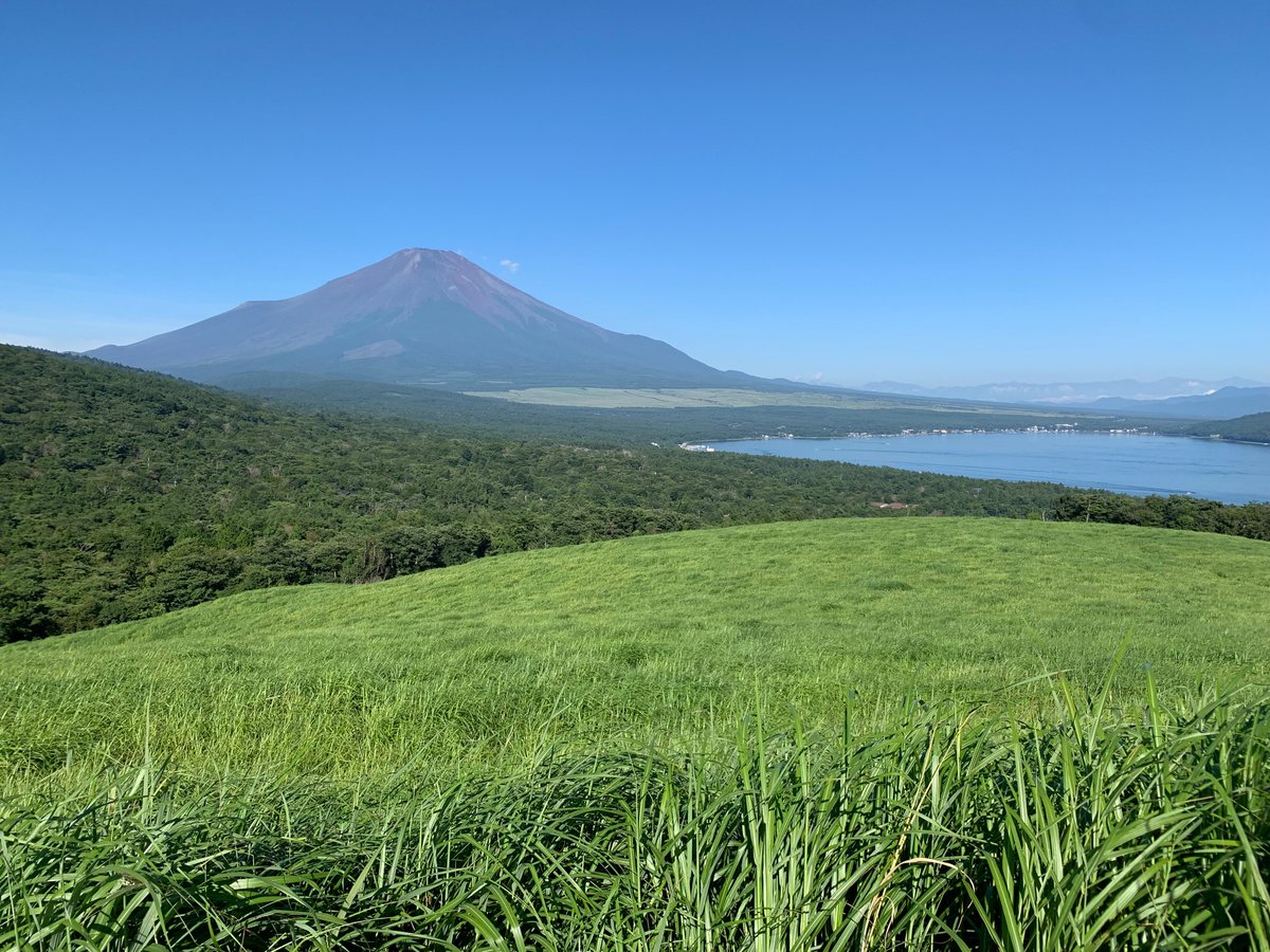 John Willis tweet media