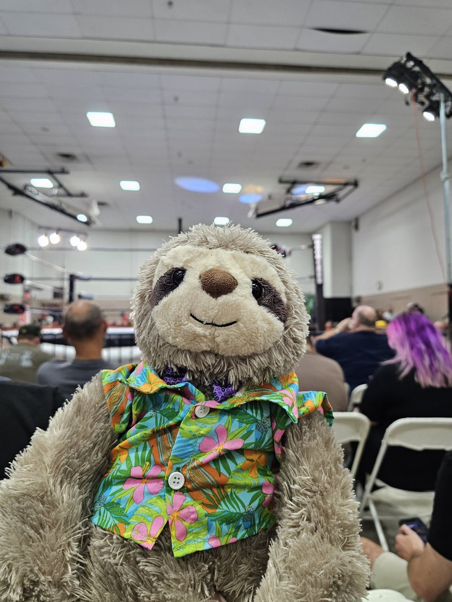 Slovy at Wrestling Revolver. 
#Revovlerheat #indiewrestling #prowrestling #majorwrestlingfigurepodcast #SlovyTheSloth #jakecrist #mattcardona #matthewjustice