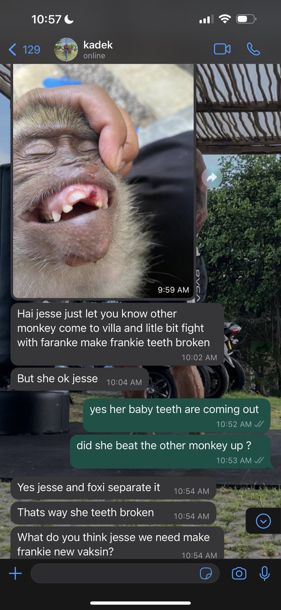 Jesse Waits tweet media