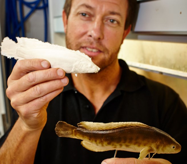 Melbourne Museum (@melbournemuseum) on Twitter photo Have you ever wondered how the mounted animals in our galleries look so real? Join Science on Show during #NationalScienceWeek and meet Museums Victoria Preparatory Team to learn how to give life to the species presented in a museum. See the full program: fal.cn/3ArRF Have you ever wondered how the mounted animals in our galleries look so real? Join Science on Show during #NationalScienceWeek and meet Museums Victoria Preparatory Team to learn how to give life to the species presented in a museum. See the full program: fal.cn/3ArRF