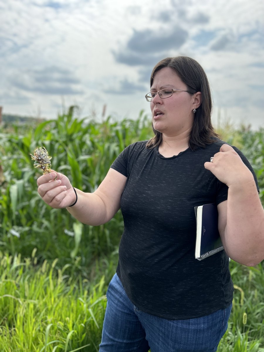 NourishFuture's tweet image. Time for a field trip! Michigan State researchers see facilities like this every day, but now Michigan science teachers get direct access through Feeding and Fueling the World, a professional learning event about STEM in agriculture. @MI_corn @Nationalcorn @Unitedsoy @MSU_PSM